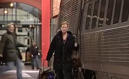 a person holding some luggage next to a train