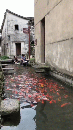a man is sitting on an alleyway above the water