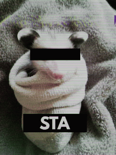 a teddy bear is posed as the word sta