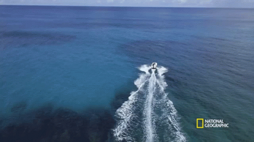 an aerial s of a motorboat speeding through the ocean