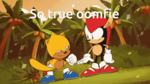 a sonic the hedge and sonic the cat from mario and friends are playing together