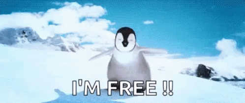 penguin with words i'm free below it