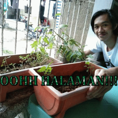 a man sitting in a chair next to plants