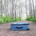 a piece of luggage is on the ground in the woods