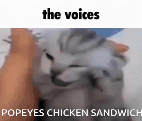 an ad for the 's chicken sandwich has the caption in red