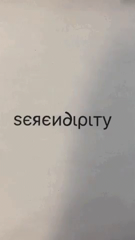 a cat looking down while standing up and the words serenity are below it