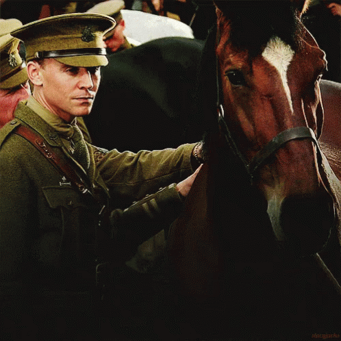 a soldier is helping a horse at an event