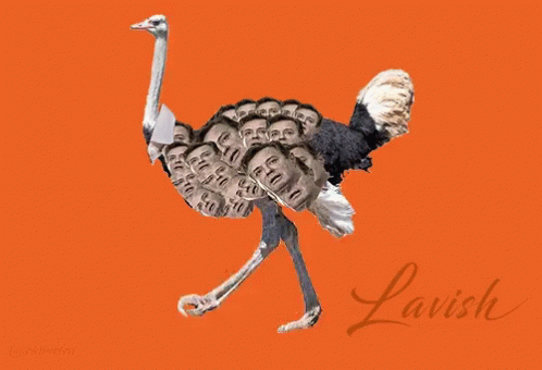 an ostrich with pictures on his body against a blue background