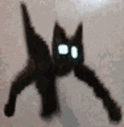 a black cat with glowing eyes on the surface