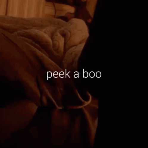 a po of someones bed with text that says peek a boo
