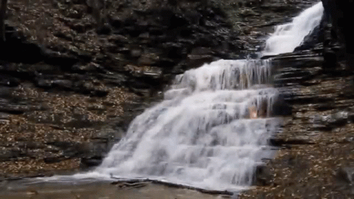 waterfall cascading down the side of a rock in the woods