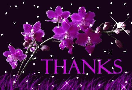 purple flowers with purple text are displayed against a dark background