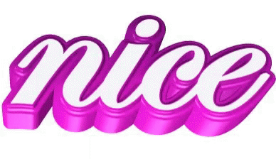 a 3d illustration of the word nice