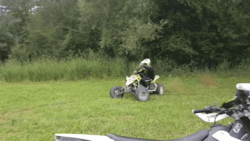 a person on an atv with a sidecar, riding by