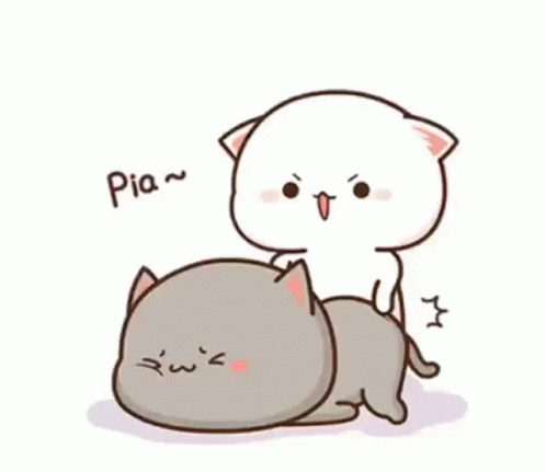 a cat has an elephant pillow for a hug