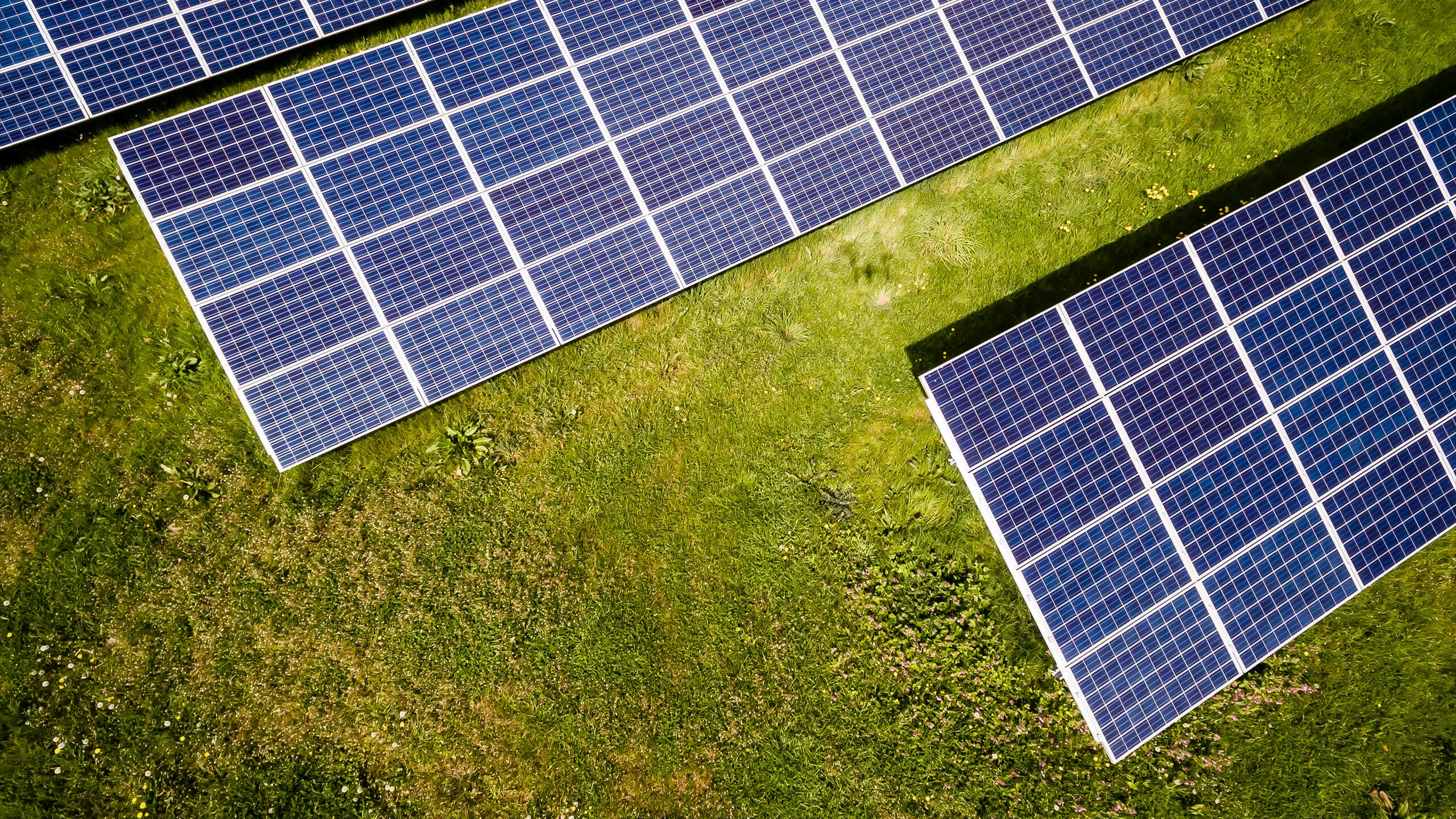 a green lawn with some rows of solar panels