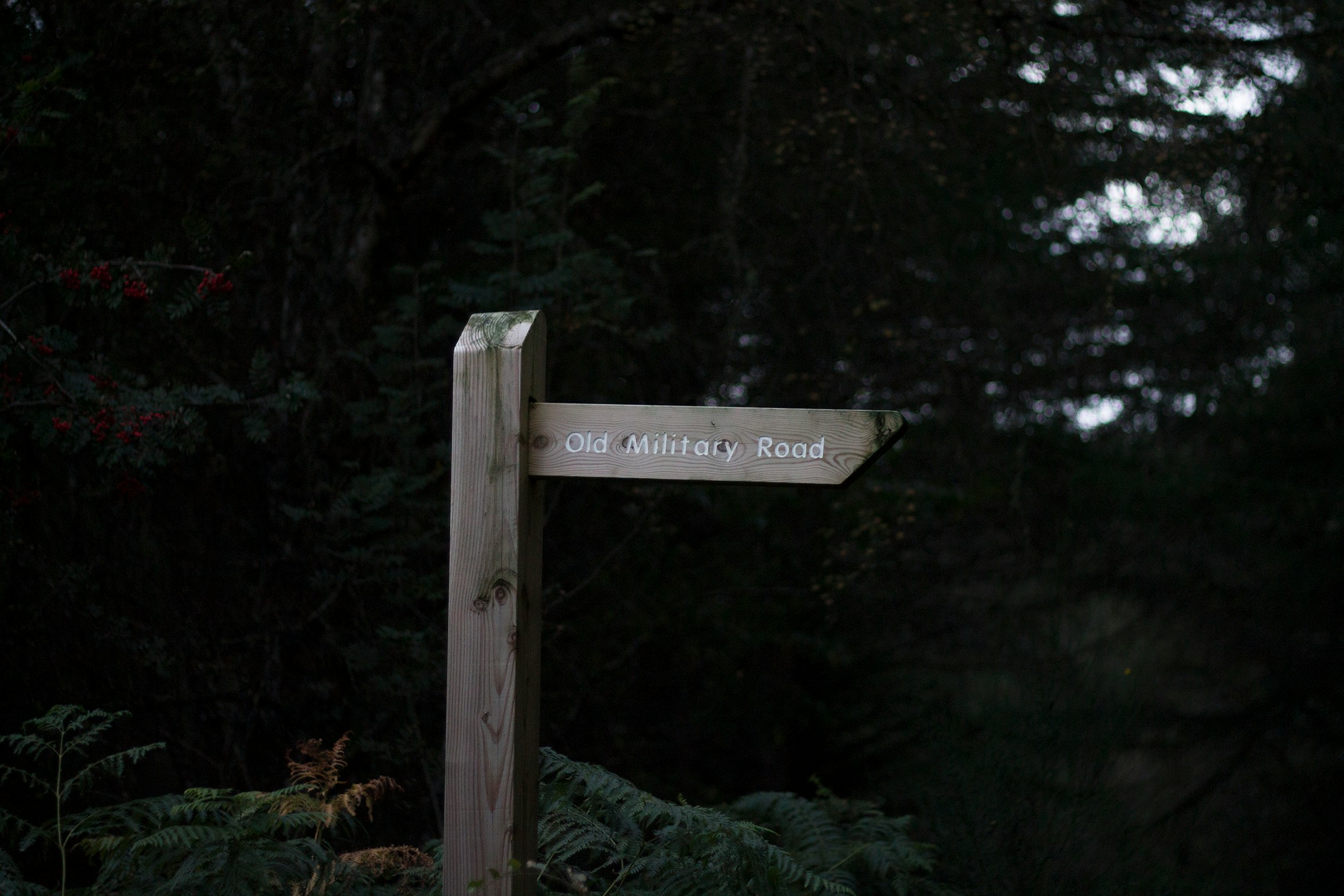a wooden sign pointing to the left in front of some trees