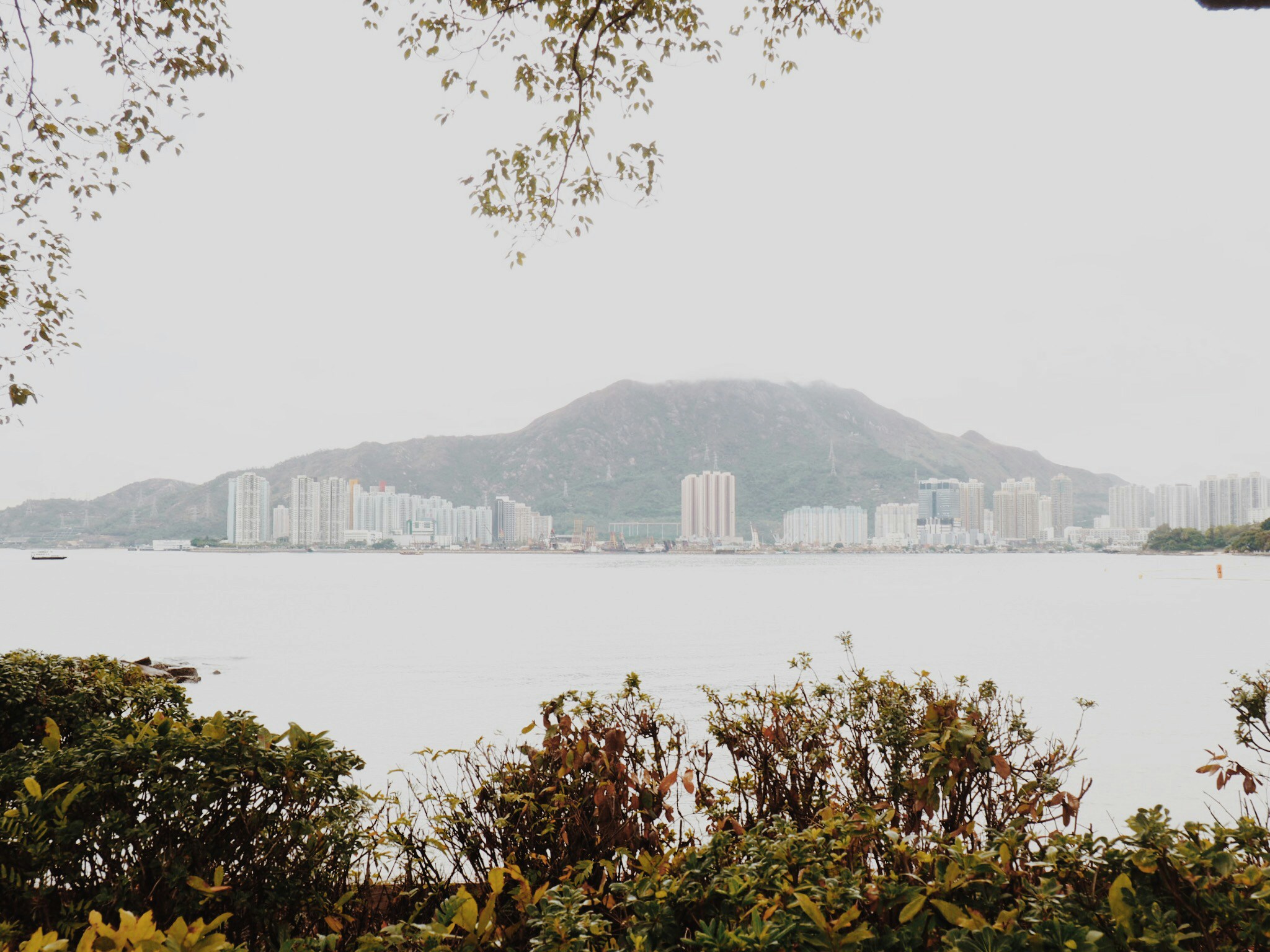 city view over water with mountains in the background