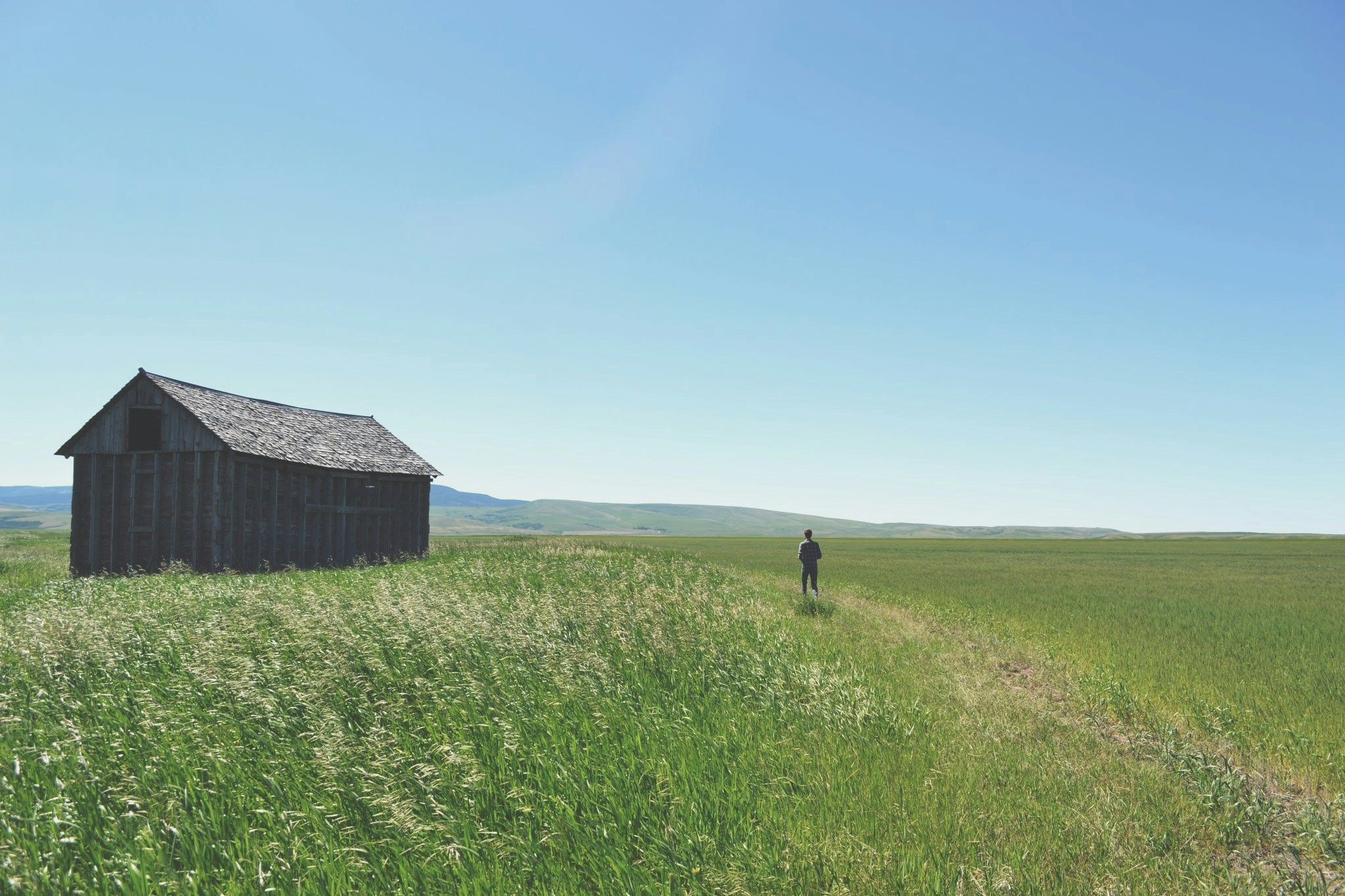 a man walks towards a small barn in a green field