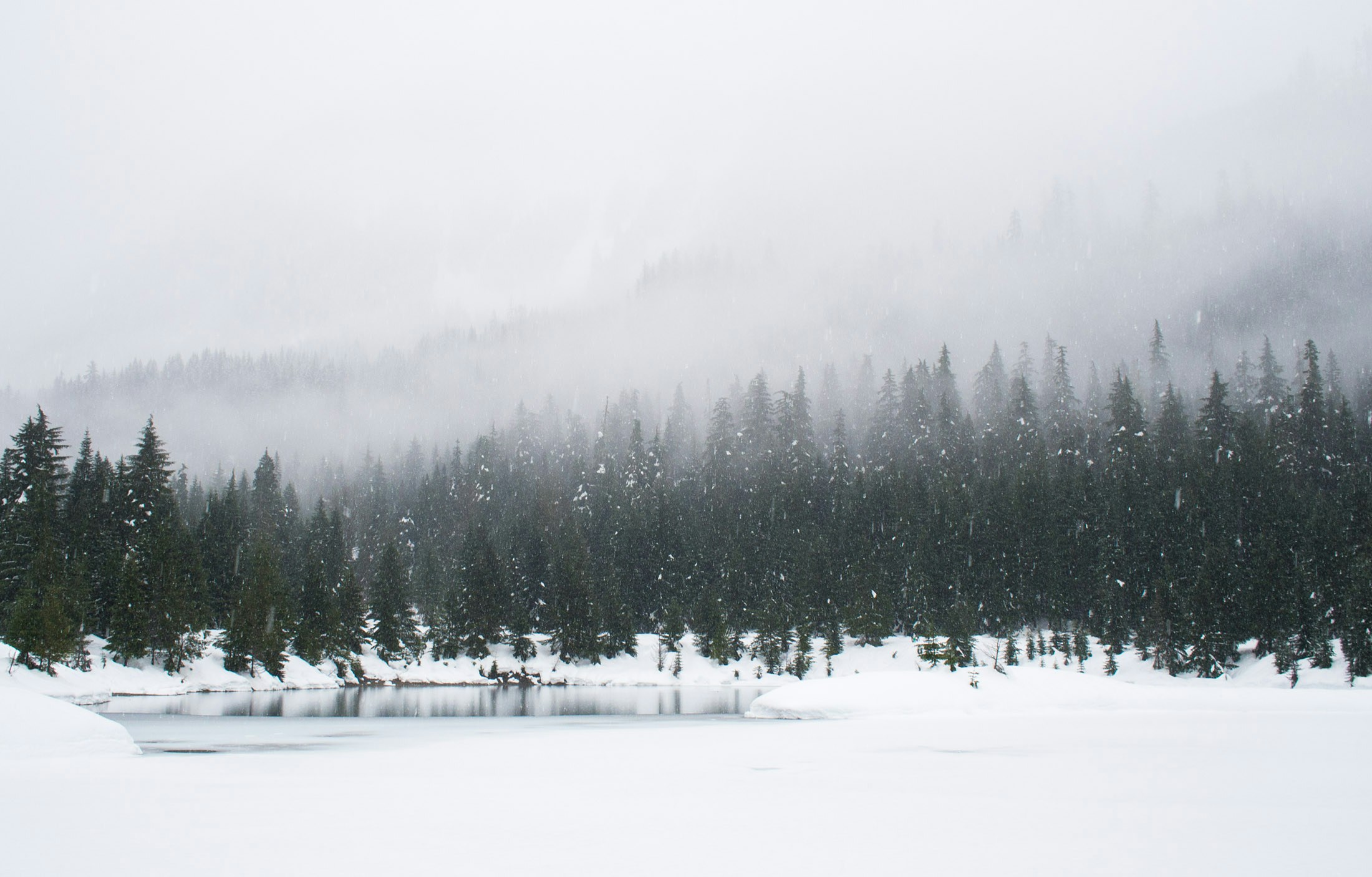 a snowy forest on a lake and some fog in the distance