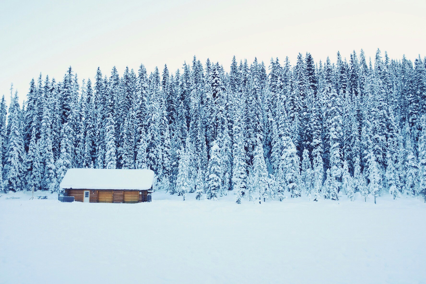 a lone log house on a snowy field