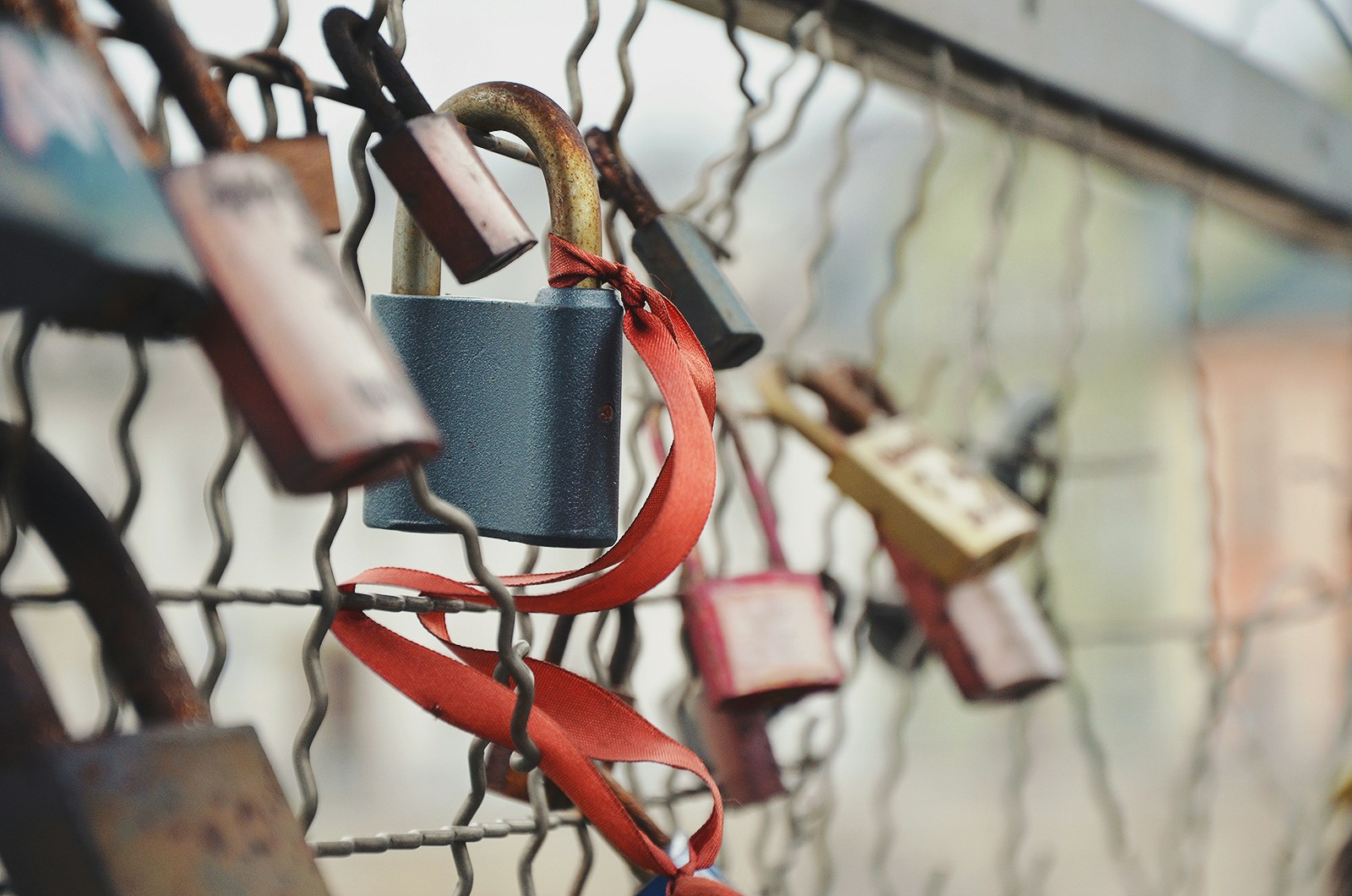 a fence with locks and red ribbons on it