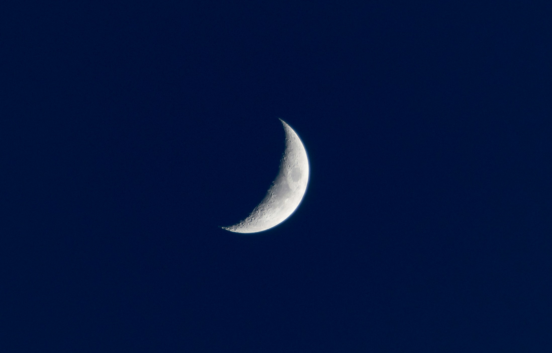 the crescent of the moon shines in the evening sky