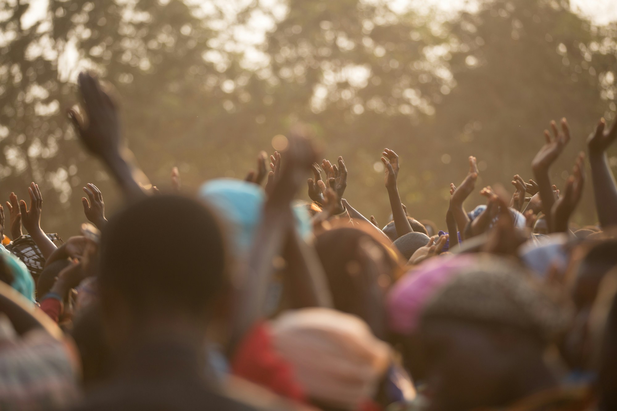 an image of the crowd at a concert