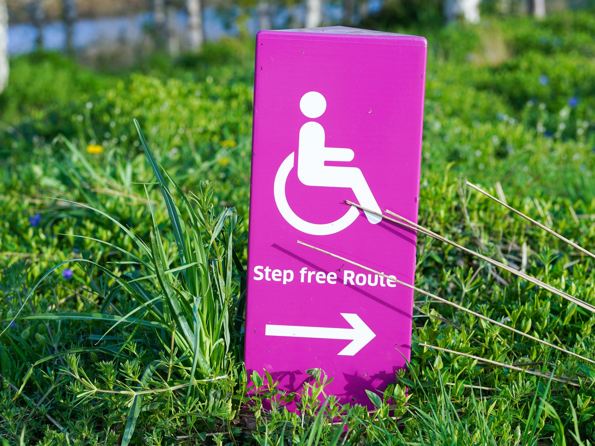 an outside sign with the word step free route on it