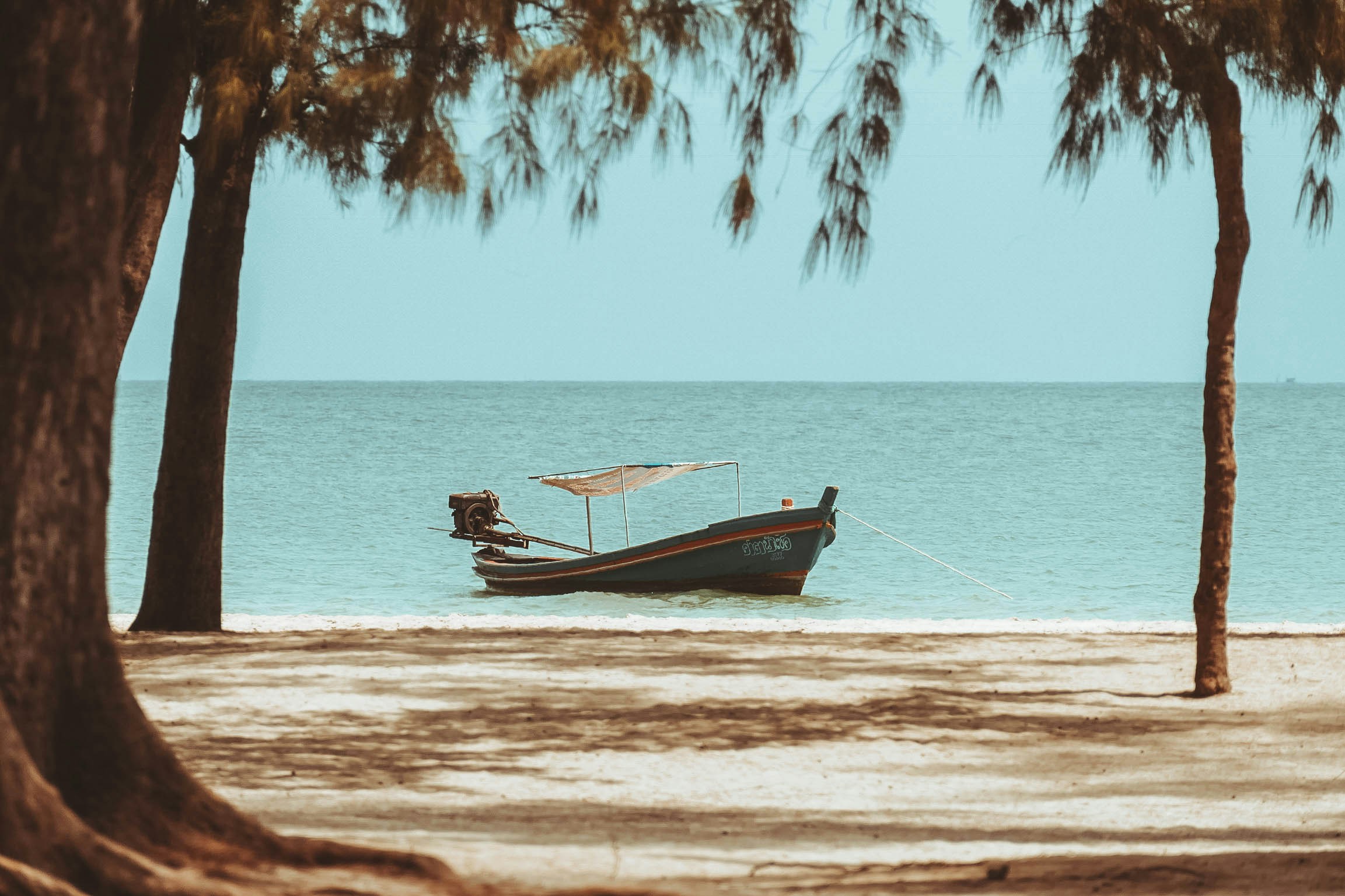 a beach with a boat and trees on it