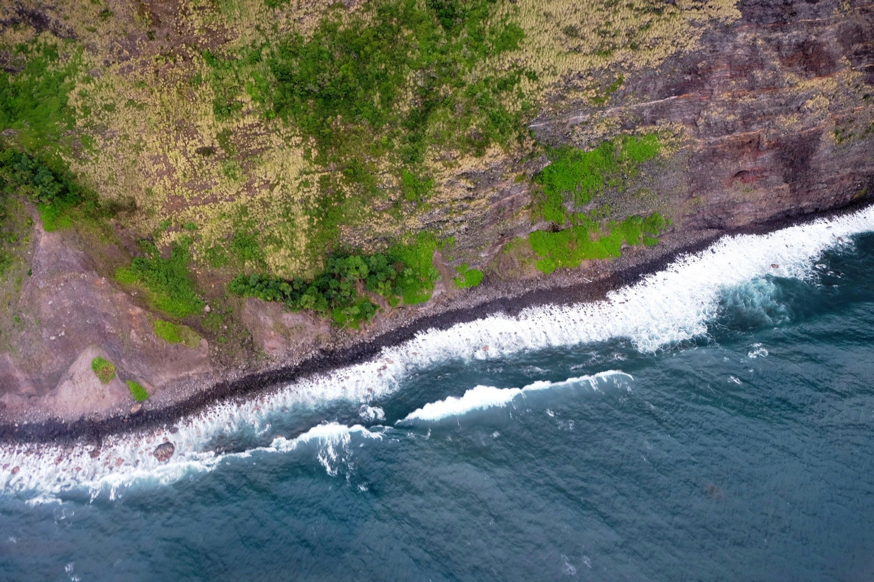 an aerial view of a grassy, rocky shoreline