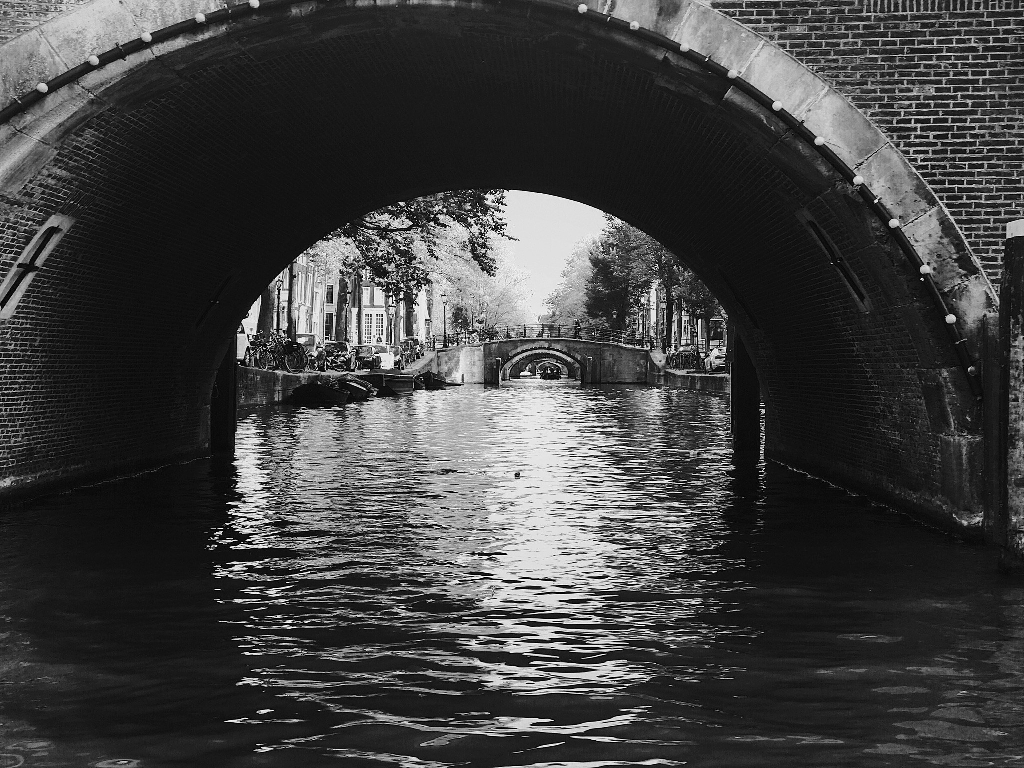 black and white po of water under the bridge